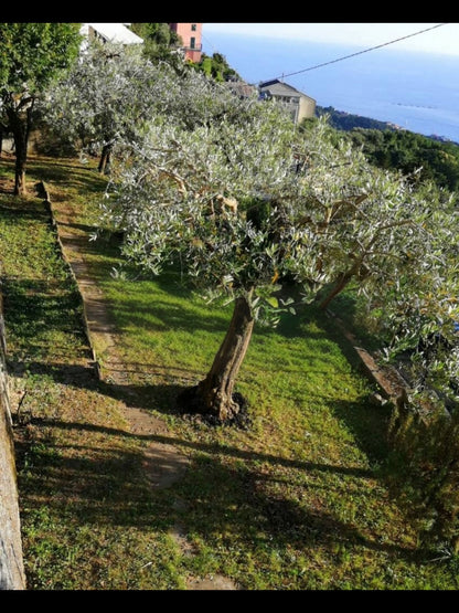 Villa italie region Portofino proche de Gênes