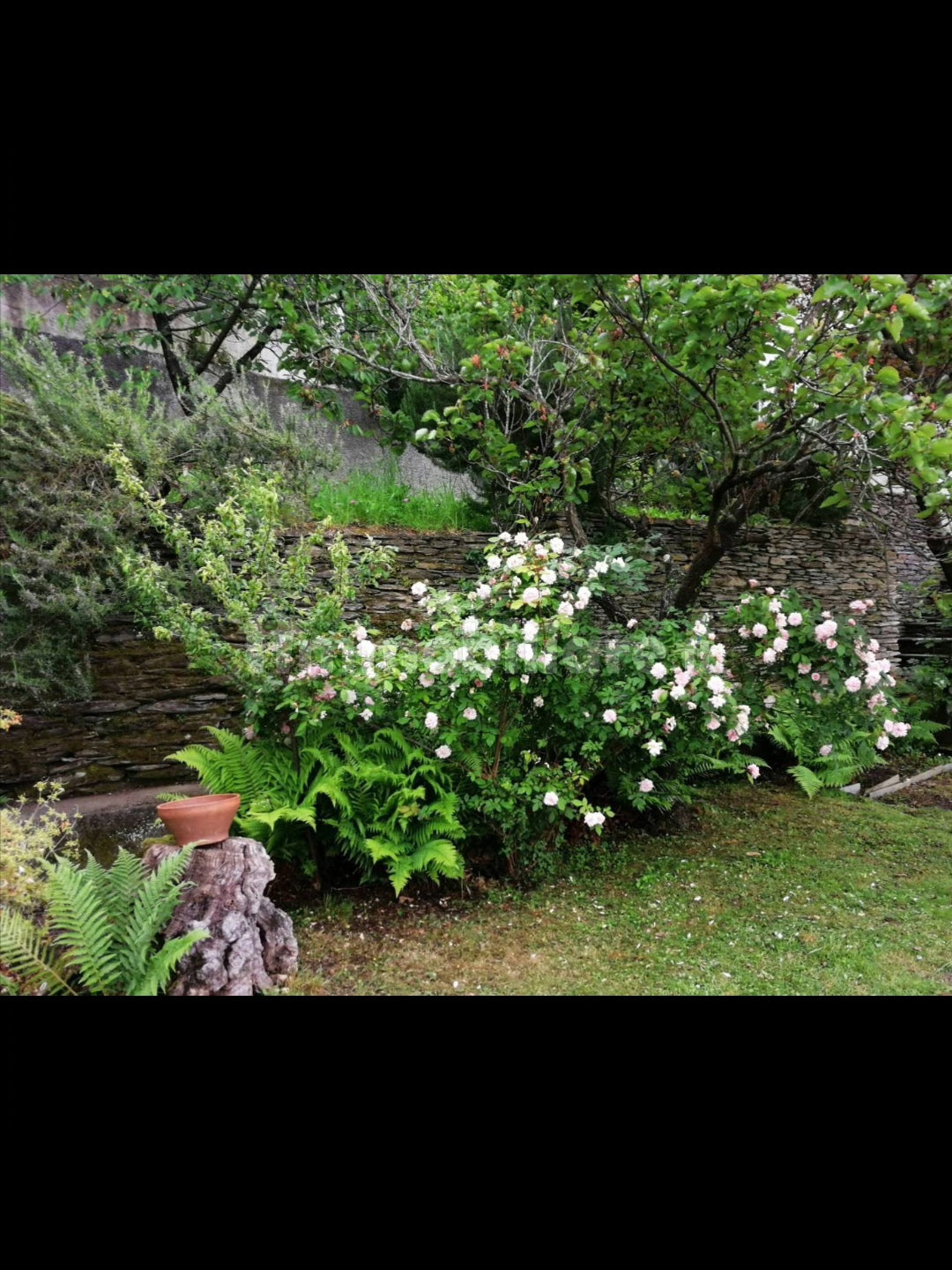 Villa italie region Portofino proche de Gênes